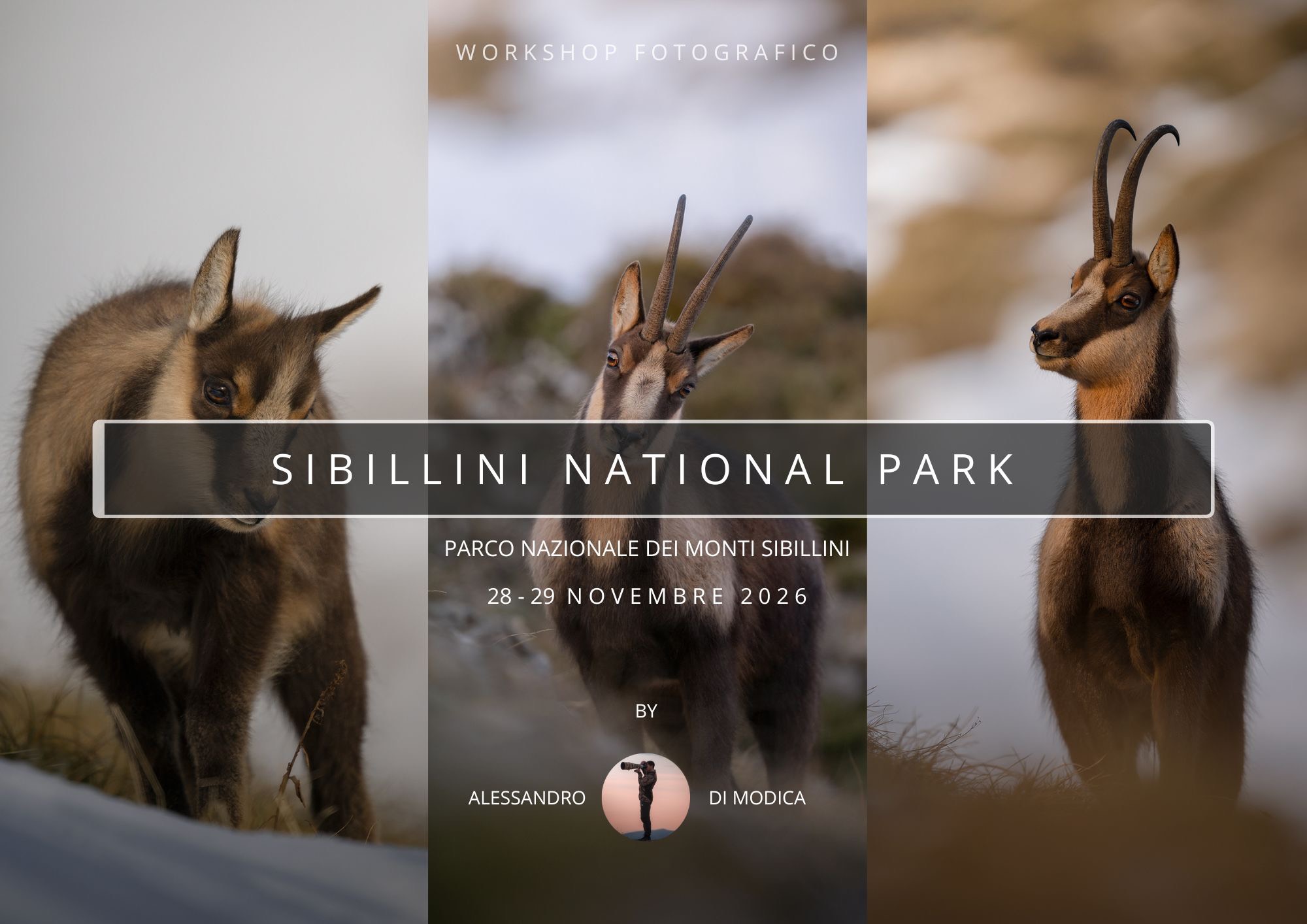 SIBILLINI NATIONAL PARK 28-29 NOVEMBRE 2026